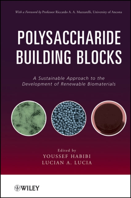 Book cover of: Polysaccharide Building Blocks. By: Youssef Habibi