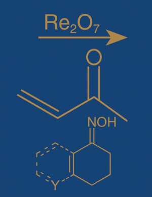 Comprehensive Organic Name Reactions and Reagents, 3 Volume Set