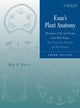 Book cover of: Esau's Plant Anatomy. By: Ray F. Evert, Ray Franklin Evert