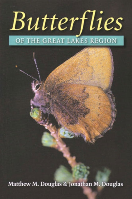 Book cover of: Butterflies of the Great Lakes Region. By: Matthew M. Douglas