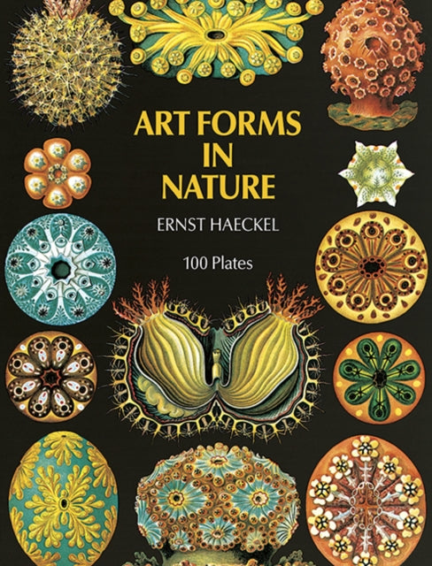 Book cover of: Art Forms in Nature