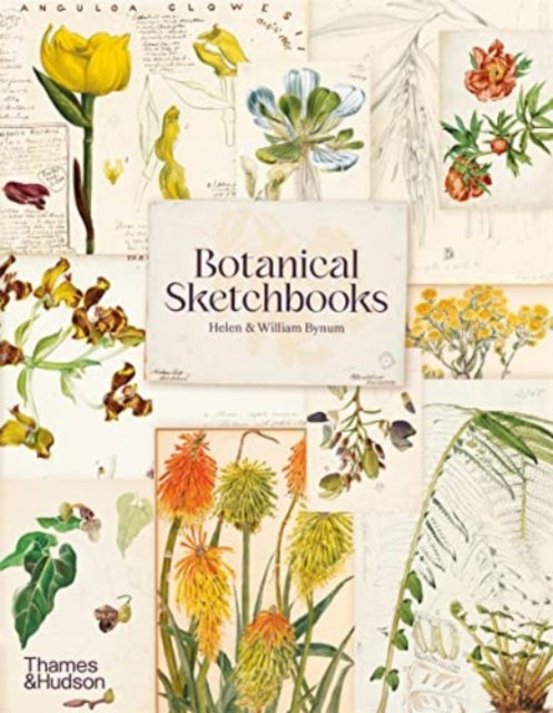 Botanical Sketchbooks 9780500297186 Helen Bynum