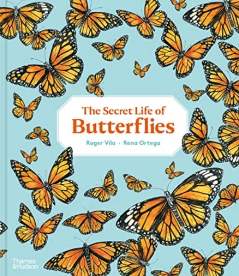 The Secret Life of Butterflies