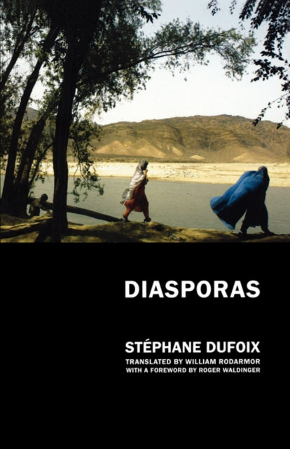 Book cover of: Diasporas. By: Stéphane Dufoix, Stephane Dufoix