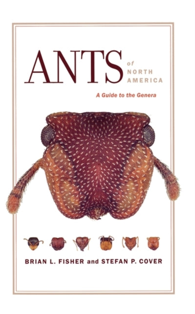 Book cover of: Ants of North America. By: Brian L. Fisher