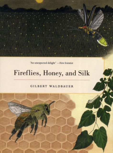 Book cover of: Fireflies, Honey, and Silk. By: Gilbert Waldbauer