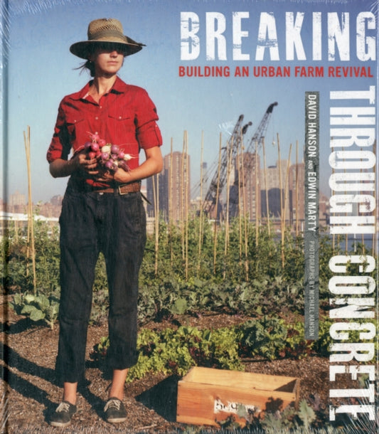 Book cover of: Breaking Through Concrete. By: David Hanson