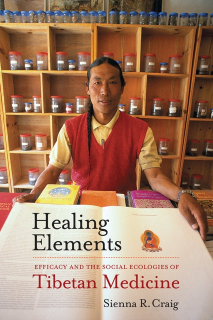 Book cover of: Healing Elements. By: Sienna R. Craig