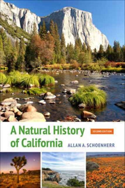 Book cover of: Natural History of California. By: Allan A. Schoenherr