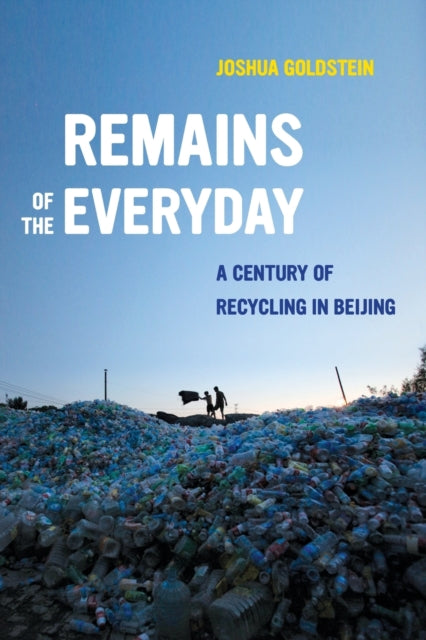 Book cover of: Remains of the Everyday. By: Joshua Goldstein