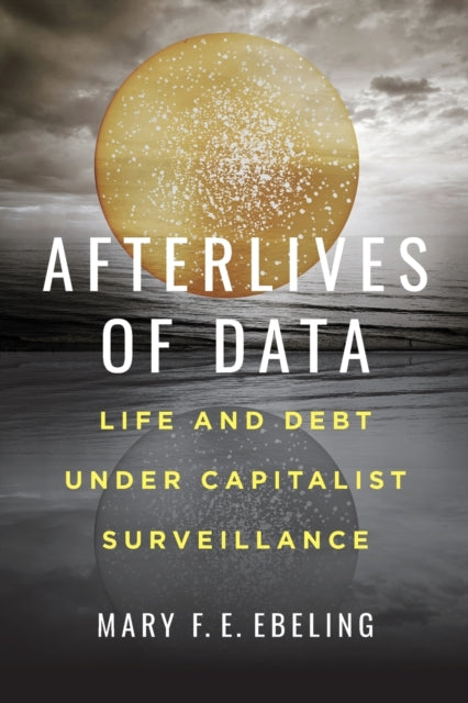 Book cover of: Afterlives of Data. By: Mary F. E. Ebeling