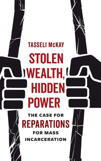 Book cover of: Stolen Wealth, Hidden Power. By: Tasseli McKay