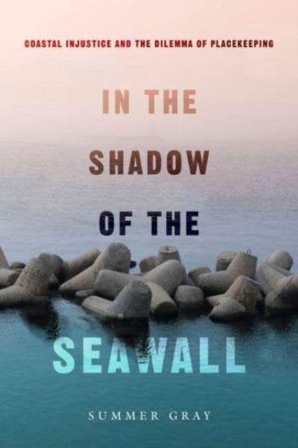 Book cover of: In the Shadow of the Seawall. By: Summer Gray