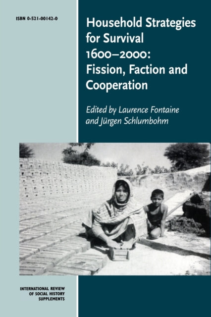 Book cover of: Household Strategies for Survival 1600–2000