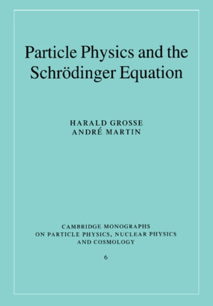 Particle Physics and the Schrodinger Equation