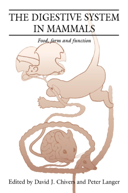 The Digestive System in Mammals