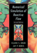 Numerical Simulation of Reactive Flow