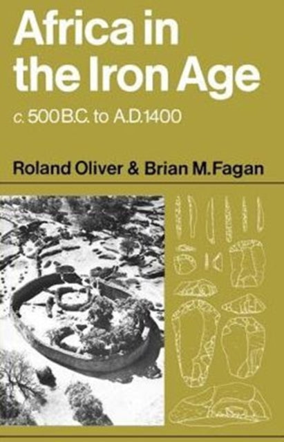 Book cover of: Africa in the Iron Age