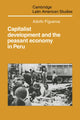 Book cover of: Capitalist Development and the Peasant Economy in Peru. By: Adolfo Figueroa