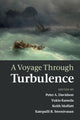 Voyage Through Turbulence