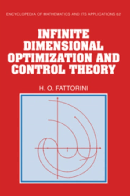 Infinite Dimensional Optimization and Control Theory