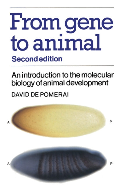 From Gene to Animal