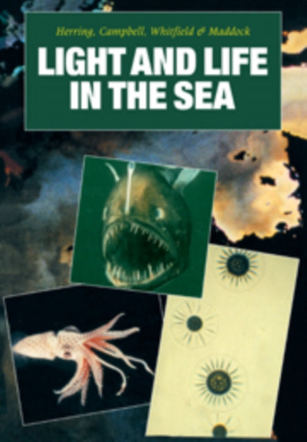 Book cover of: Light and Life in the Sea