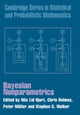Book cover of: Bayesian Nonparametrics. By: Nils Lid Hjort