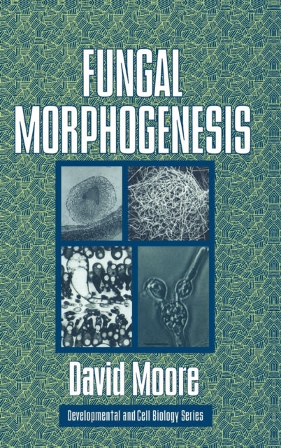 Book cover of: Fungal Morphogenesis