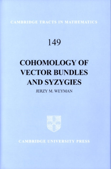 Cohomology of Vector Bundles and Syzygies