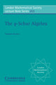 Book cover of: q-Schur Algebra