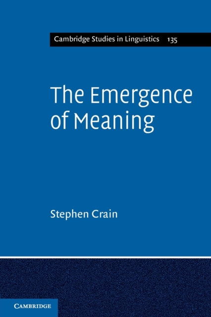 The Emergence of Meaning