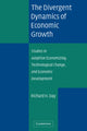 Book cover of: Divergent Dynamics of Economic Growth. By: Richard H. Day
