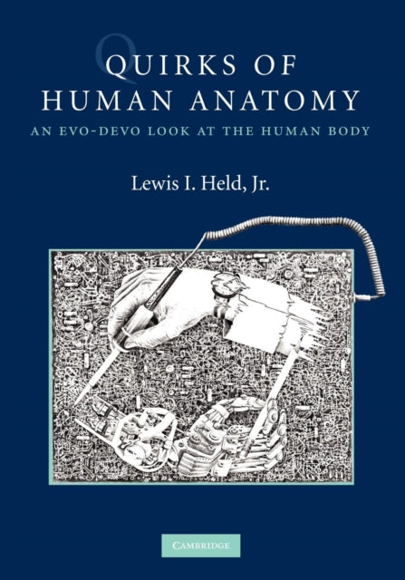 Quirks of Human Anatomy