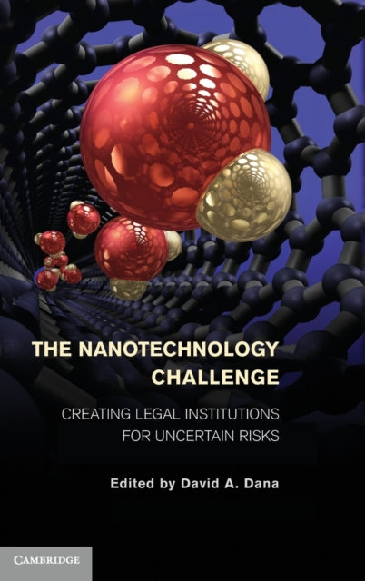 Book cover of: Nanotechnology Challenge. By: David Dana