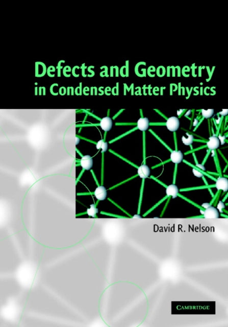 Defects and Geometry in Condensed Matter Physics