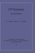 CP Violation