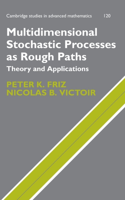 Multidimensional Stochastic Processes as Rough Paths