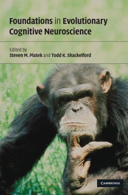 Book cover of: Foundations in Evolutionary Cognitive Neuroscience