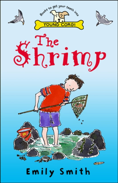 Shrimp