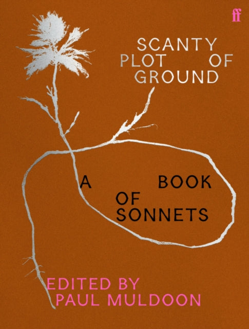Scanty Plot of Ground, A Book of Sonnets 9780571373444 Paul Muldoon