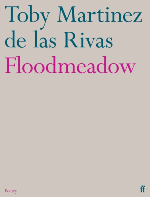 Book cover of: Floodmeadow. By: Toby Martinez de las Rivas