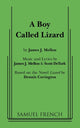 Book cover of: Boy Called Lizard