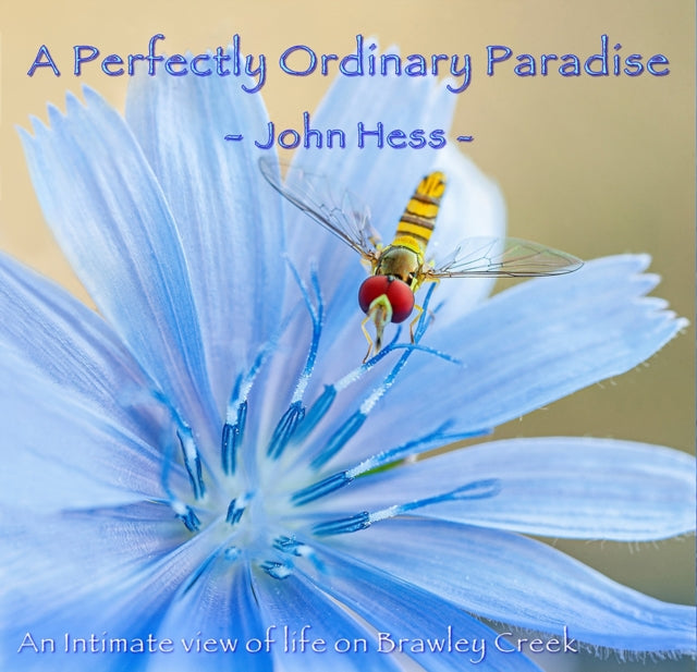 Book cover of: Perfectly Ordinary Paradise. By: John Hess