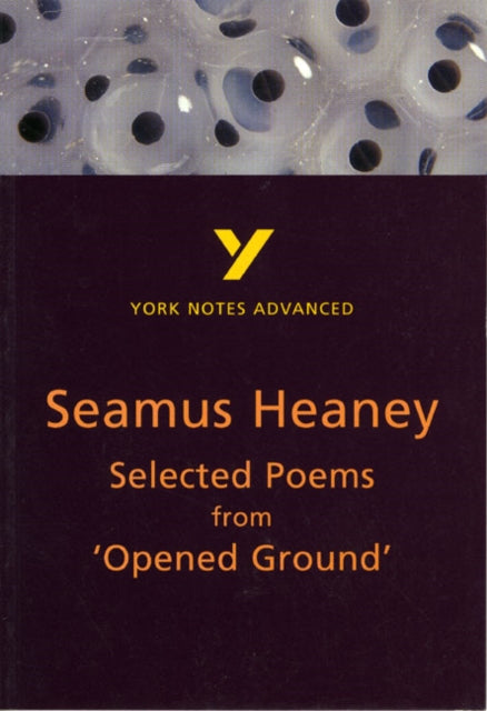Selected Poems from Opened Ground (York Notes Advanced) English Literature Study Guide