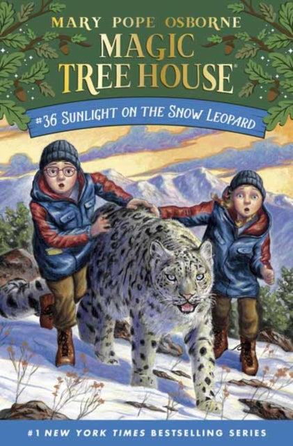 Book cover of: Sunlight on the Snow Leopard. By: Mary Pope Osborne