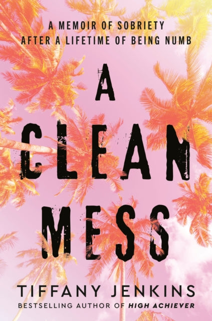 Book cover of: Clean Mess. By: Tiffany Jenkins