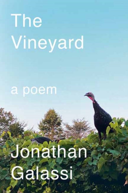 The Vineyard