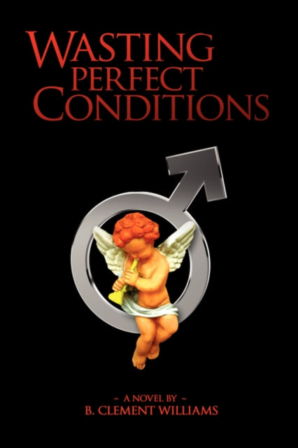 Book cover of: Wasting Perfect Conditions. By: B. Clement Williams