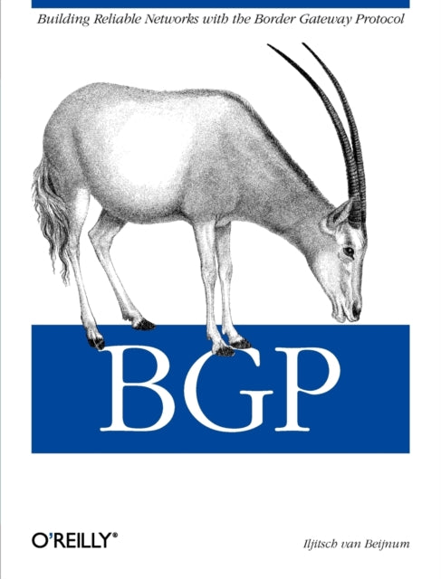 Book cover of: BGP. By: Iljitsch van Beijnum